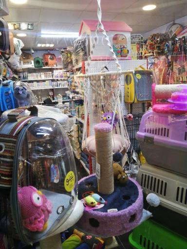 عکس پت شاپ پتینو