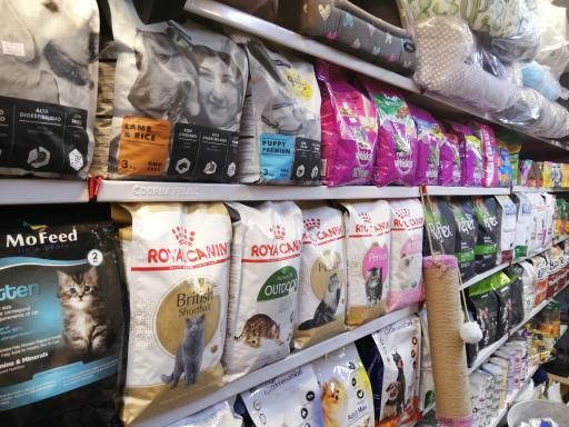 عکس پت شاپ پتینو