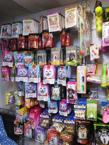 عکس پت شاپ پتینو