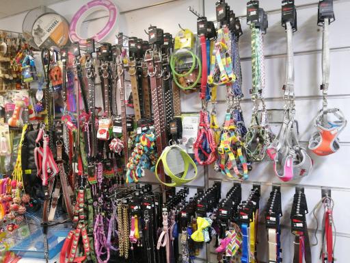 عکس پت شاپ پتینو