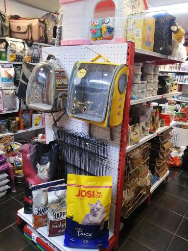 عکس پت شاپ پتینو