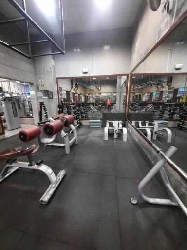 عکس آکادمی بدنسازی اکسیر