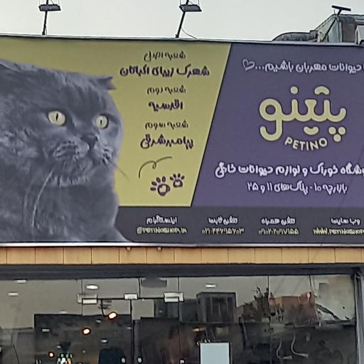 پت شاپ پتینو ( شعبه اصلی )