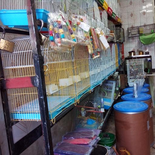 عکس پت شاپ ماهان