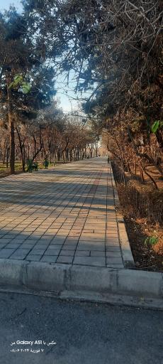 عکس بوستان میرزا کوچک خان