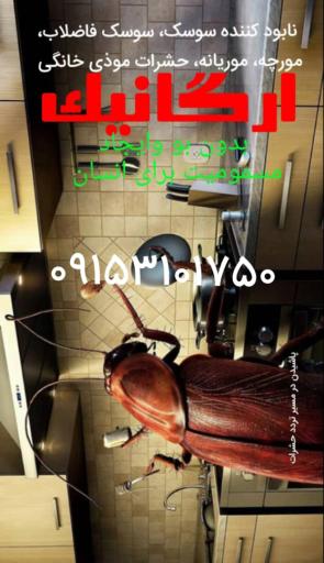 عکس شرکت نقشینه گوهر پاسارگاد