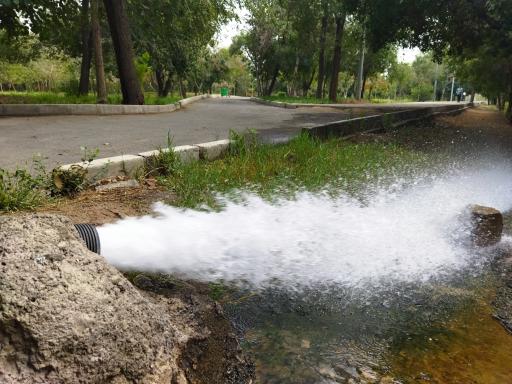 عکس بوستان میرزا کوچک خان