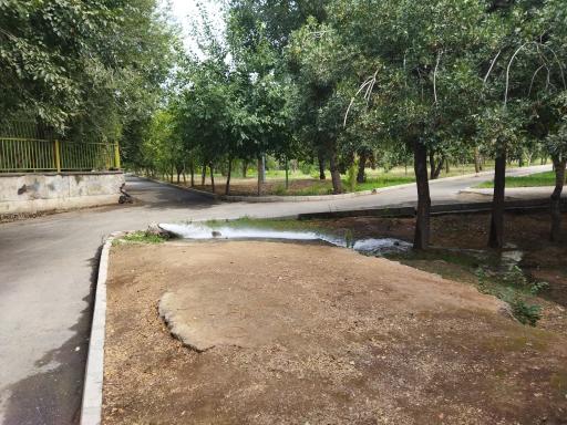 عکس بوستان میرزا کوچک خان