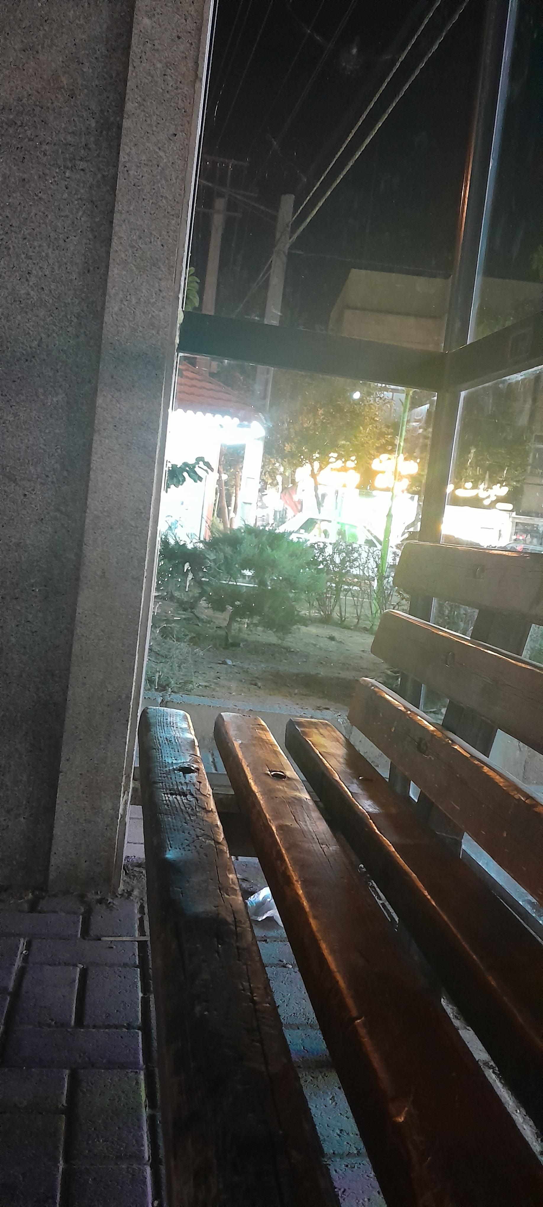 عکس  22بهمن 7