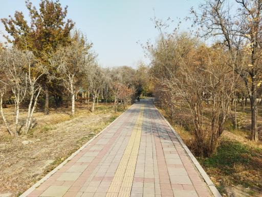 عکس بوستان میرزا کوچک خان