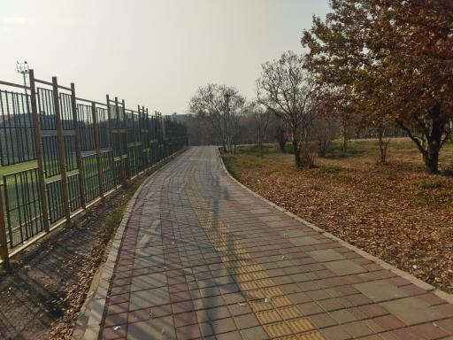 عکس بوستان میرزا کوچک خان