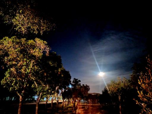 عکس بوستان میرزا کوچک خان