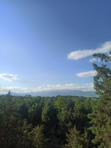 عکس بوستان میرزا کوچک خان