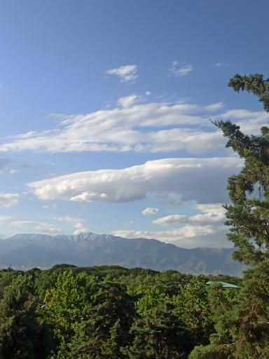 عکس بوستان میرزا کوچک خان