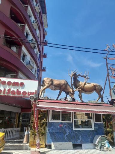 عکس هتل آپارتمان صبوری