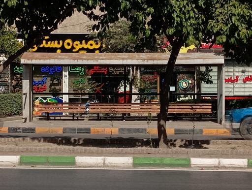عکس  22بهمن 7