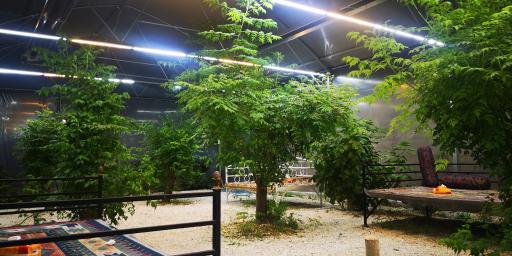 عکس رستوران سرای زیتون