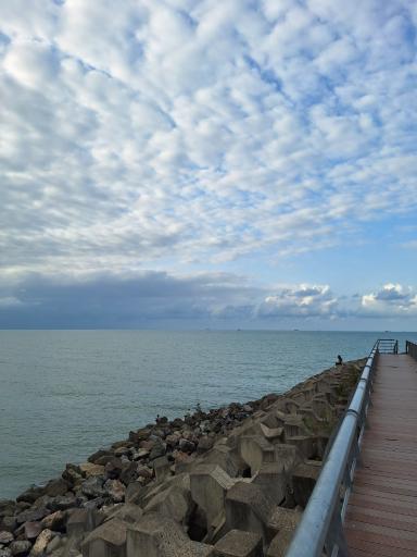 عکس موج شکن انزلی