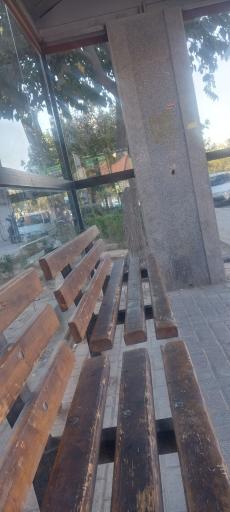عکس  22بهمن 7