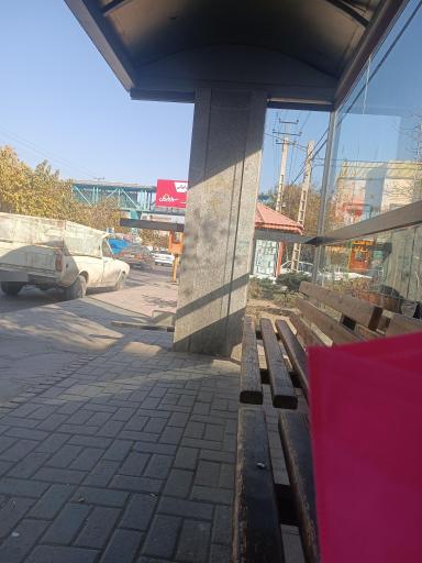 عکس  22بهمن 7
