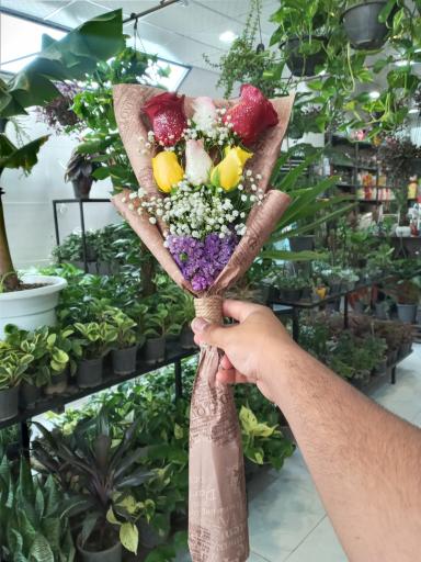 عکس آرتا گل