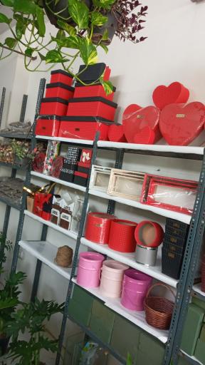 عکس آرتا گل