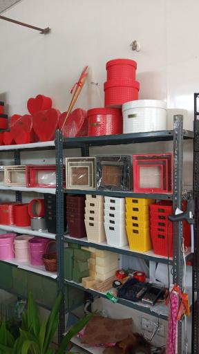 عکس آرتا گل