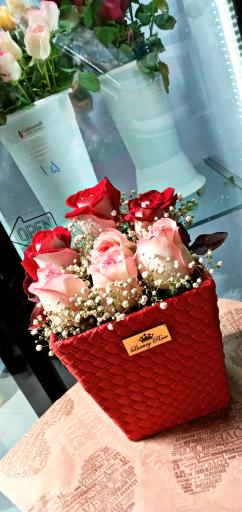 عکس آرتا گل