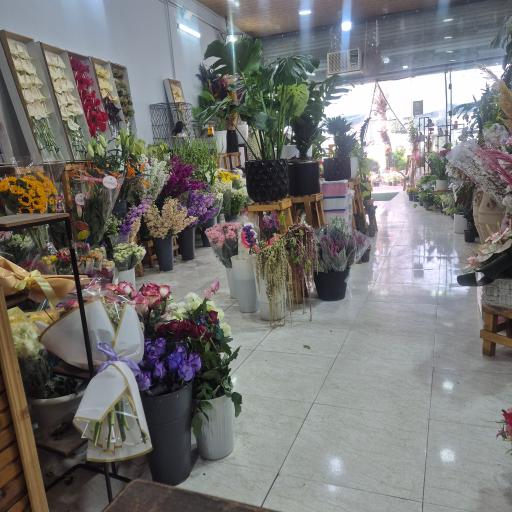 عکس سرای گل ونوشه