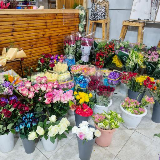 عکس سرای گل ونوشه