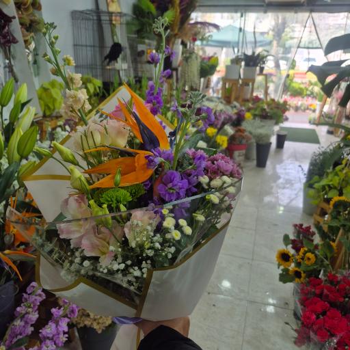 عکس سرای گل ونوشه