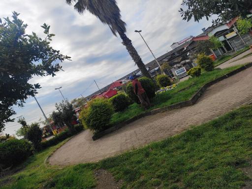 عکس پارک ساحلی