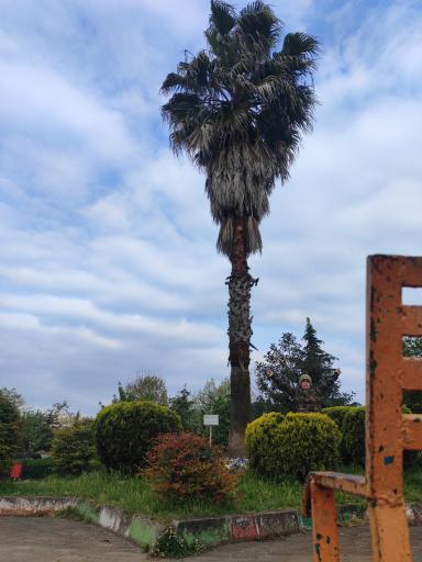 عکس پارک ساحلی