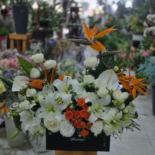 عکس سرای گل ونوشه