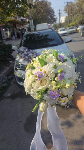 عکس سرای گل ونوشه
