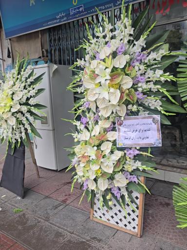 عکس سرای گل ونوشه