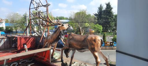 عکس هتل آپارتمان صبوری