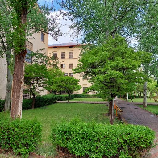 عکس دانشکده علوم پایه