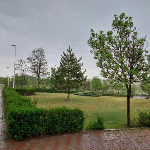 عکس دانشکده علوم پایه