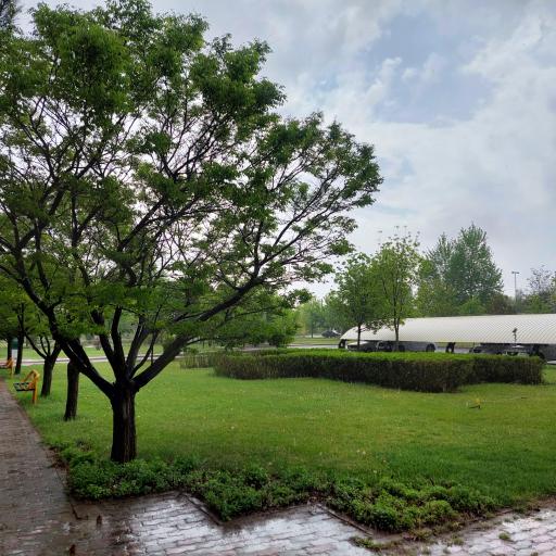 عکس دانشکده علوم پایه