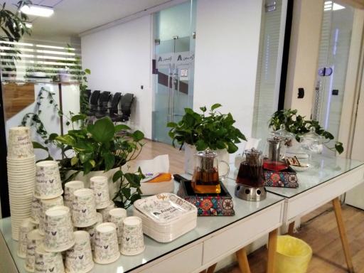 عکس بیمه ایران-بیمه آرامین واحد اقساط