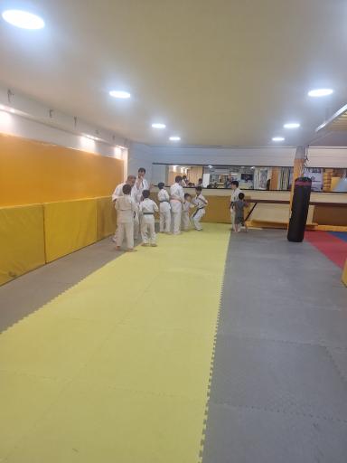 عکس باشگاه کیوکوشین کاراته استاد مجتبی حاجی آبادی 