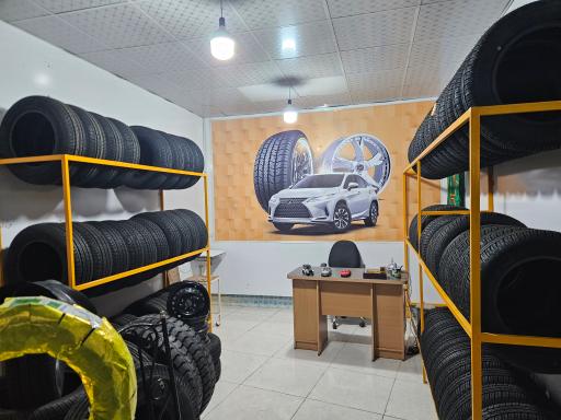 عکس لاستیک حامد