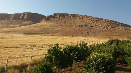 عکس کوه ویس القرنی