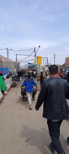 عکس بازار گل محلاتی