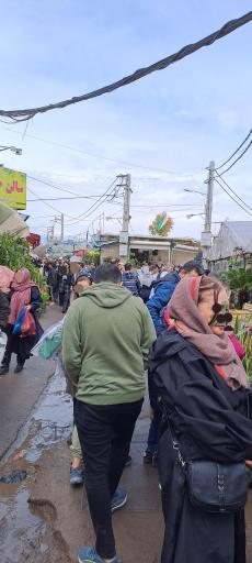 عکس بازار گل محلاتی