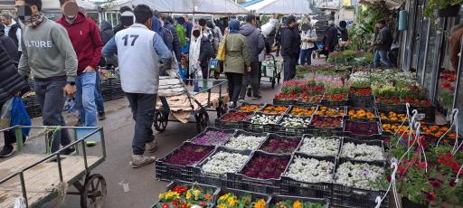 عکس بازار گل محلاتی