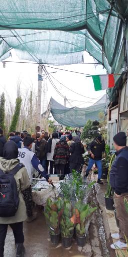 عکس بازار گل محلاتی