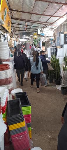 عکس بازار گل محلاتی