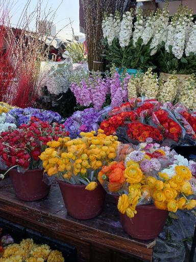 عکس بازار گل محلاتی